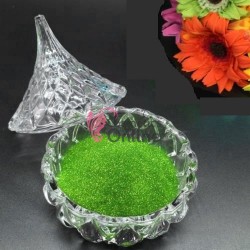 Decor pentru unghii NADP026HH sclipici extra fin de 5gr Green Fresh
